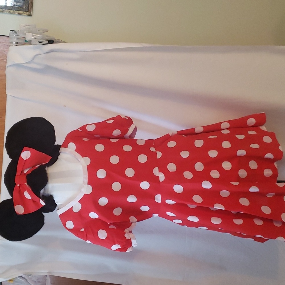 Homemade "Minnie Mouse " costume